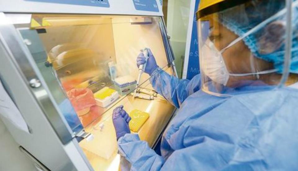 Limay Perú - Portal de Noticias de Lima Norte Limay Perú - Portal de Noticias de Lima Norte