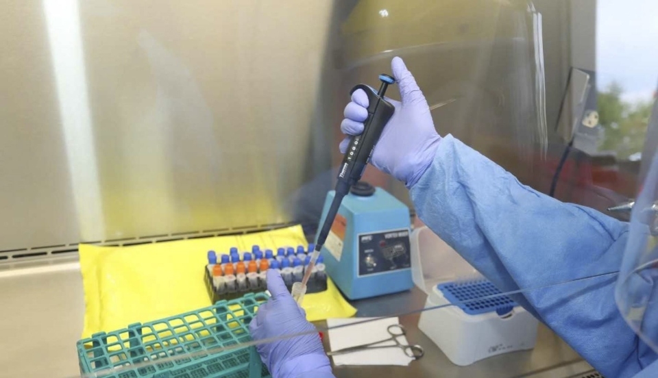 Limay Perú - Portal de Noticias de Lima Norte