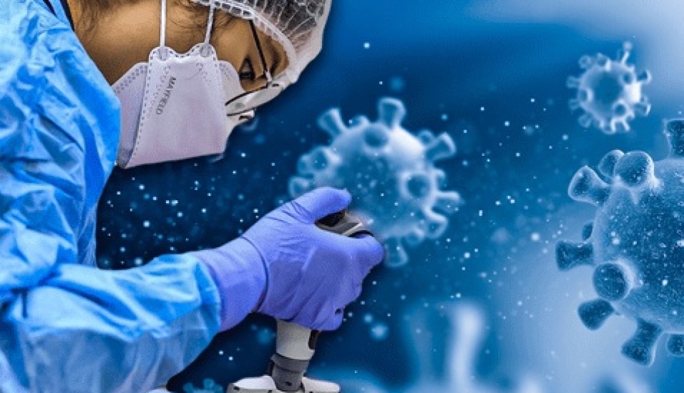 Limay Perú - Portal de Noticias de Lima Norte