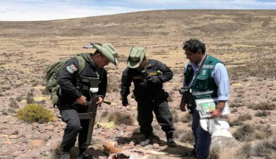 Limay Perú - Portal de Noticias de Lima Norte