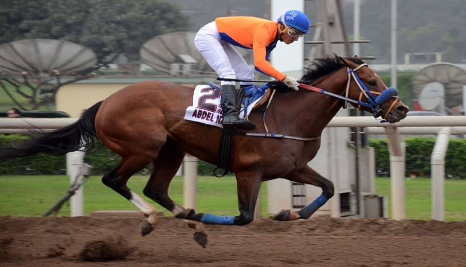 Limay Perú - Portal de Noticias de Lima Norte