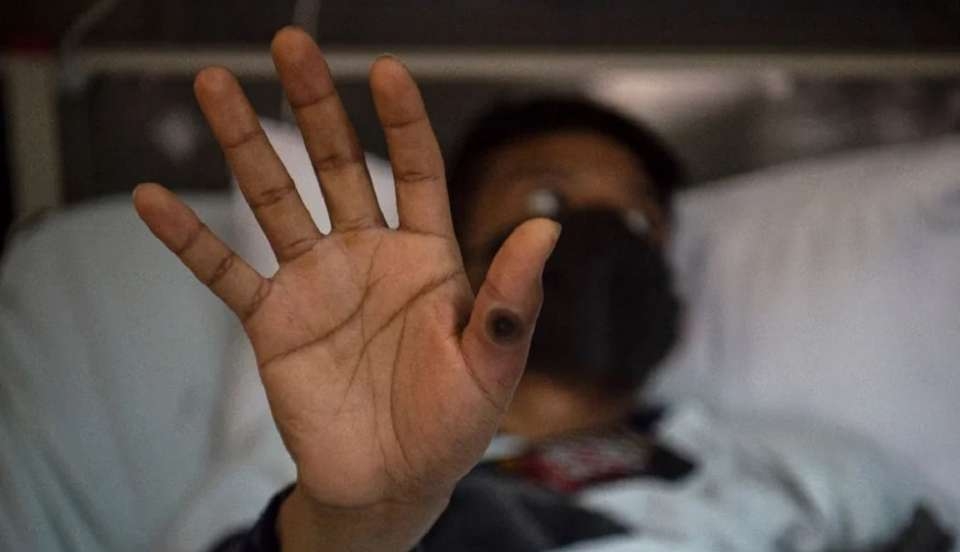 Limay Perú - Portal de Noticias de Lima Norte