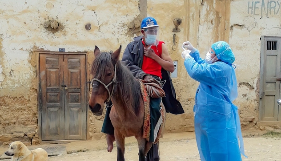 Limay Perú - Portal de Noticias de Lima Norte