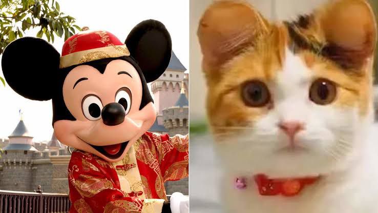 Cercenan las orejas de perros y gatos al estilo de Mickey Mouse