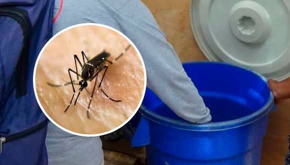 Mosquito transmisor del dengue se encuentra en todo el Callao
