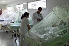 Aumento de casos de dengue en Lima norte y Callao