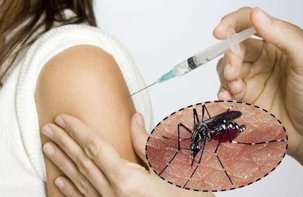 Dengue: Se inicia campaña de vacunación contra el dengue en menores de 6 a 16 años