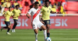 Habrá posibilidades de ir al mundial ? Perú último en la tabla de posiciones. Perdió 1-0 con Ecuador en Quito 