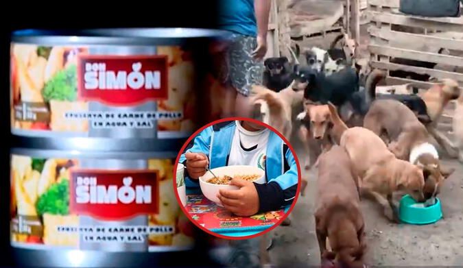 Qali Warma distribuía conservas en mal estado que finalmente era destinada a albergues para perros