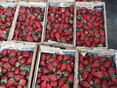 Conoce en qué mercados no debes comprar fresas