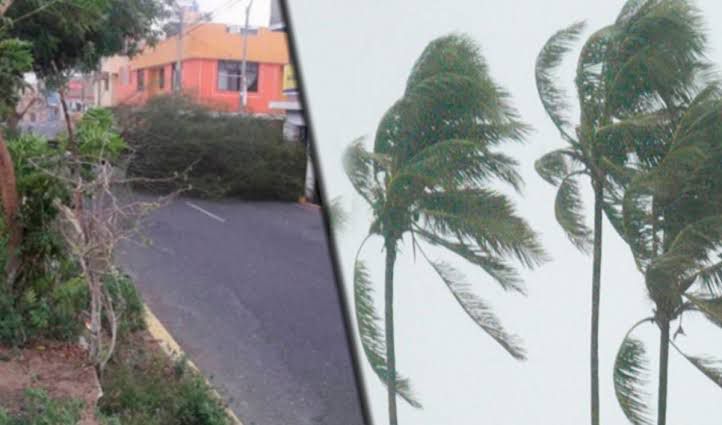 Senamhi alerta vientos de hasta 40 km/h en la costa peruana