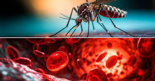 "¡Alerta nacional! Dengue arrasa con más de 1300 casos y deja una víctima mortal en San Martín