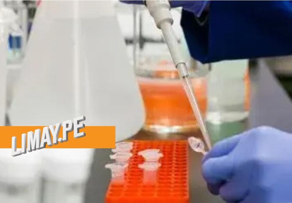 Gripe aviar mata a niña de 3 años en México