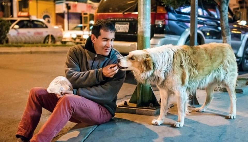 Bolivia: Hombre que dejó lujos para alimentar a perros en la calle murió de COVID-19