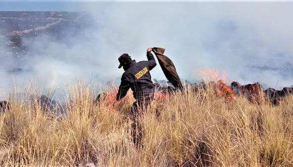 Caylloma: Incendio forestal daña cinco hectáreas de caserío 