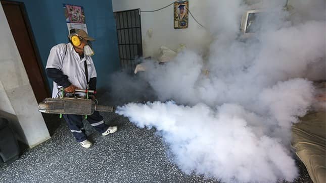 Dengue: 14 distritos fueron declarados en alerta epidemiológica