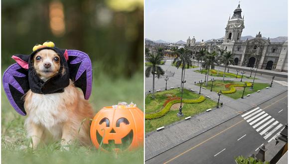 Centro de Lima: Ciclistas podrán recorrer las calles disfrazados junto a sus mascotas