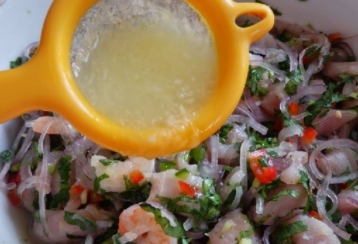 cevicheacidoacetico1