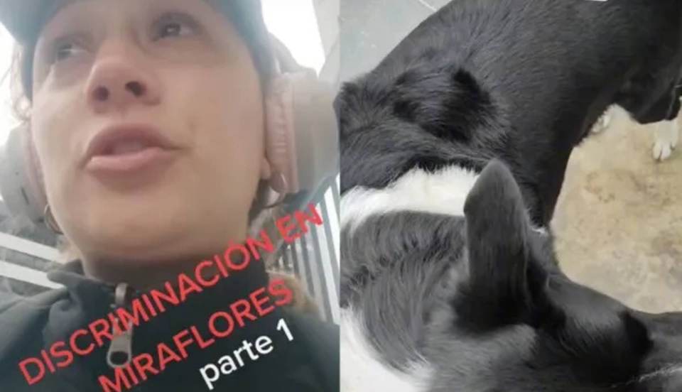 Miraflores: Tiktoker denuncia que fue discriminada por pasear a su perro “chusco”