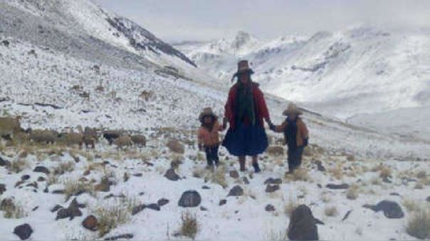 Declaran alerta amarilla en Puno por temperaturas que llegan a - 21°C