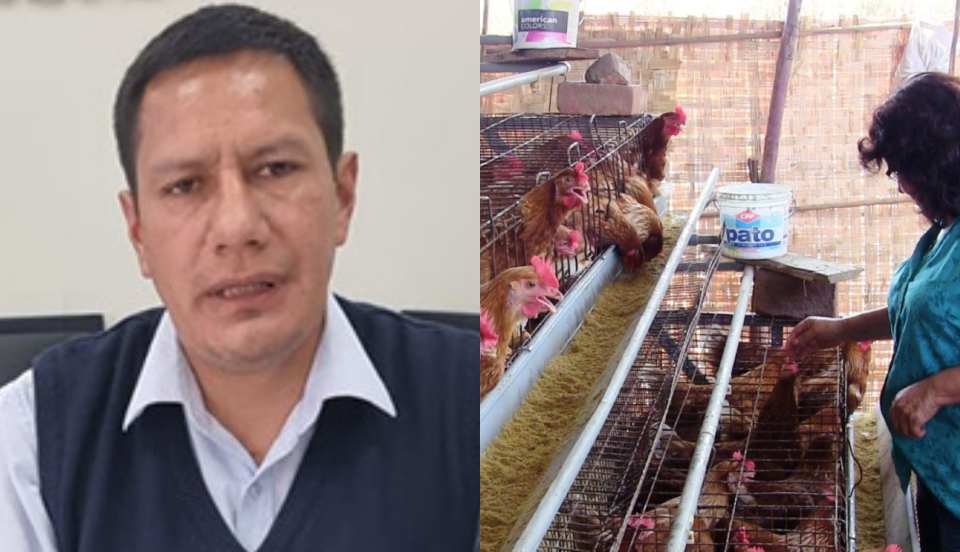 Jorge Mantilla asegura que la influenza aviar no se contagia por consumir pollo y huevo