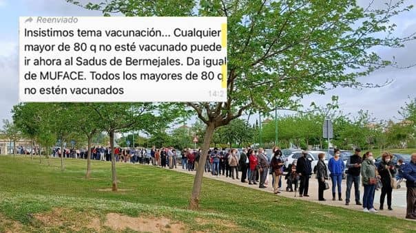 España: Miles van a vacunarse contra el COVID-19 tras recibir falso mensaje por WhatsApp