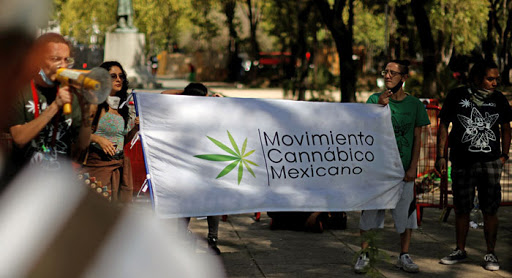 México: Hacen marcha para que se legalice la marihuana