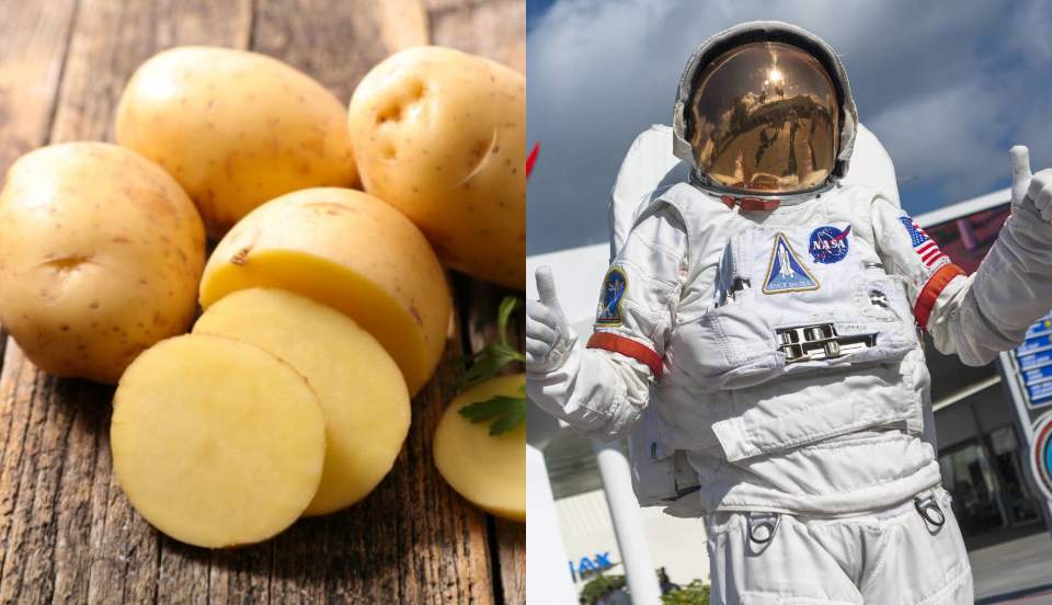 NASA: Peruana crea receta a base de papa para astronautas y es finalista en concurso