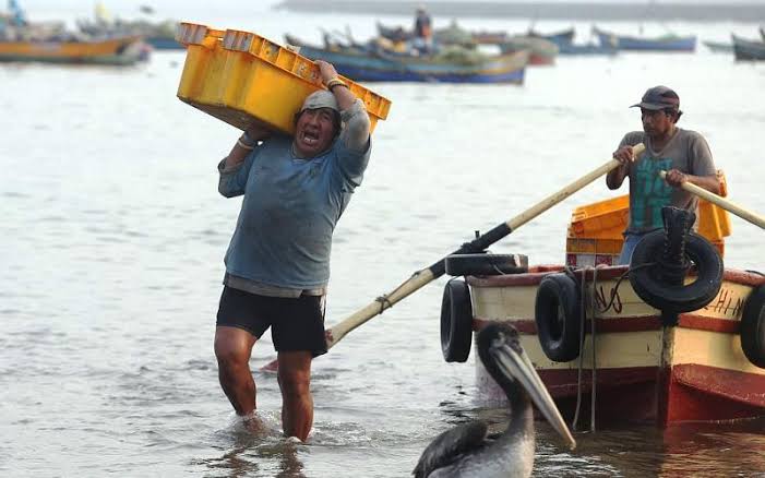 Pescadores artesanales suspenden paro tras inicio de diálogo con el Gobierno