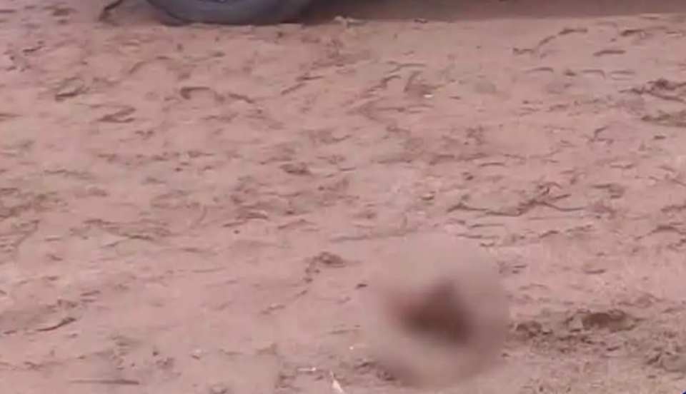 Hallan pie humano desmembrado en playa Costanera de Carquín en Huacho