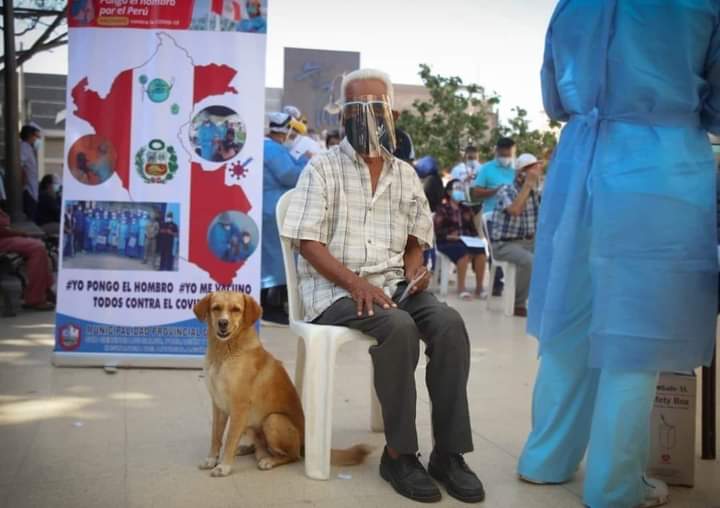 Piura: Anciano va a vacunarse contra el COVID-19 junto a su perrito 