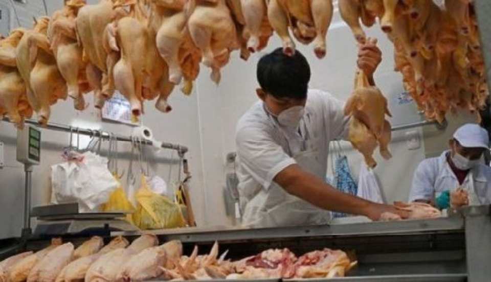 ¡Atención! Precio del pollo subió a S/ 10.60 en mercados de Lima