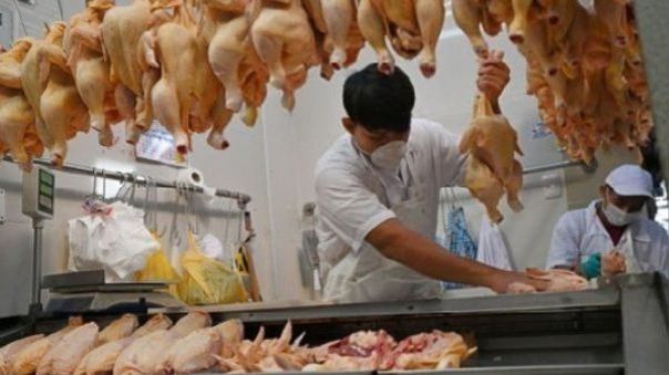 Precio del pollo:  ¿Cuánto cuesta el ave esta semana? 