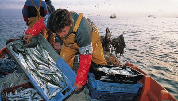 Pescadores artesanales exigen a PRODUCE reanudar sus faenas tras paralización