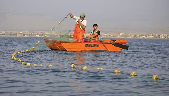 Aprueban transferencia para reactivar economía de pescadores artesanales