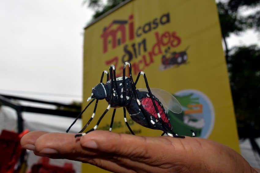 Cercado de Lima: Reportan contagios de dengue en la Unidad Vecinal Mirones