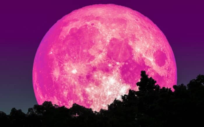 ¿Qué día y a qué hora se podrá apreciar la superluna rosa?